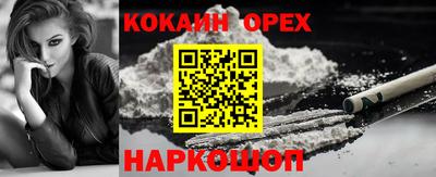 молекула духа Будённовск