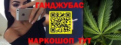 молекула духа Будённовск