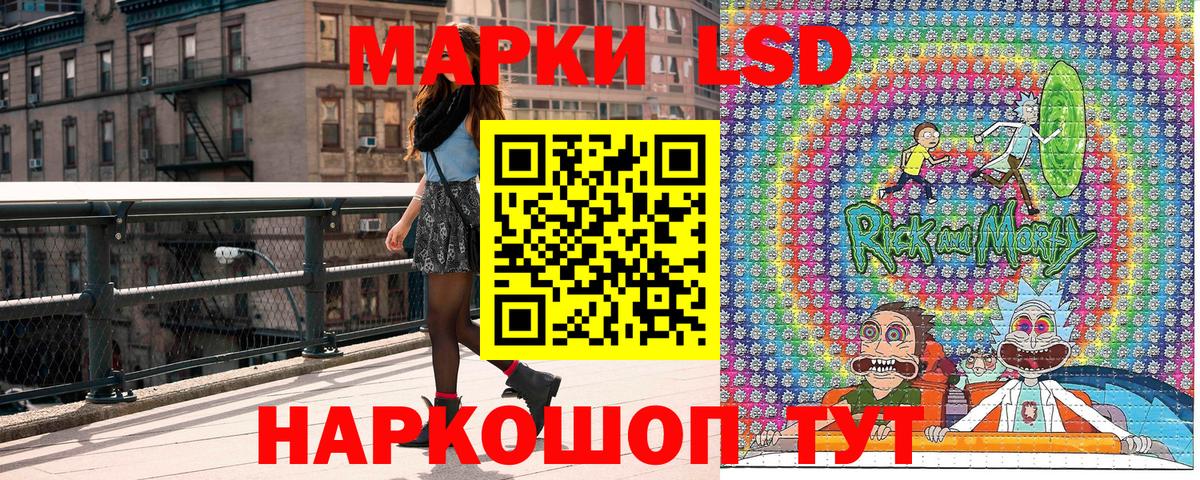 Галлюциногенные грибы Балтийск