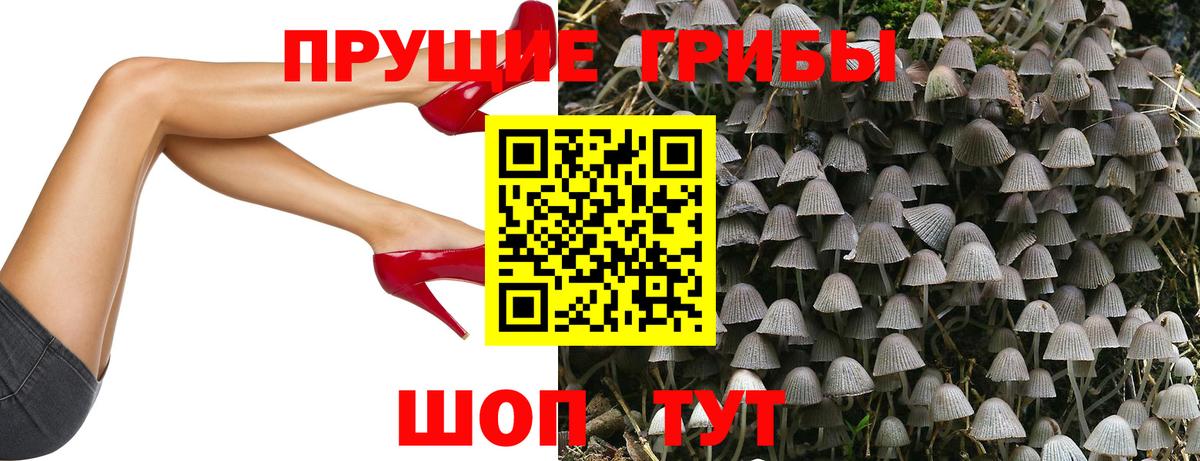 даркнет сайт  Галлюциногенные грибы Psilocybine cubensis  Балтийск  Вход с VPN  Псилоцибиновые грибы Cubensis 